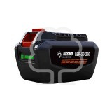 Batteria Echo LBP-560-250 56 V - 5 ah