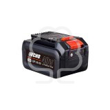 Batteria Echo 40V - 2 Ah - Garden+